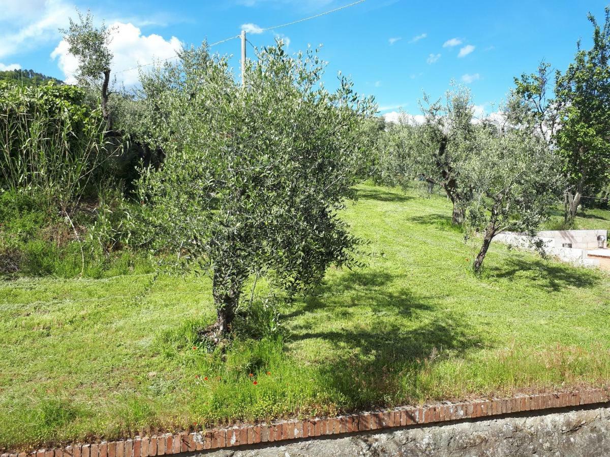 Agriturismo Villa Bracali Serravalle Pistoiese Exterior photo